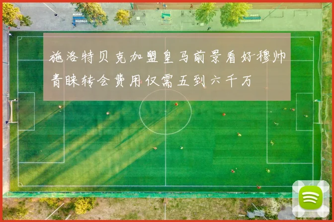 施洛特贝克加盟皇马前景看好穆帅青睐转会费用仅需五到六千万